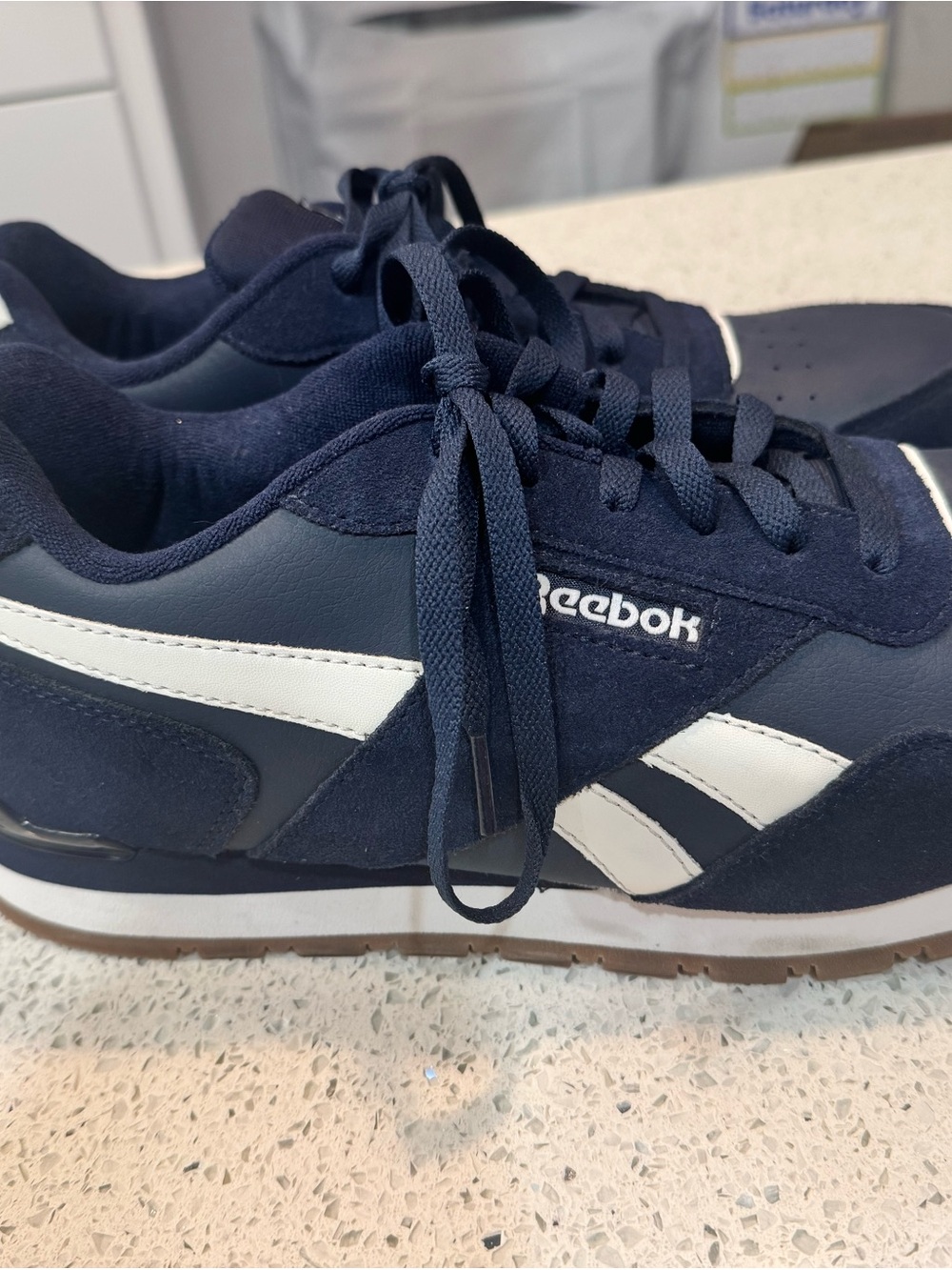 Reebok Navy & White Low-Top Sneaker